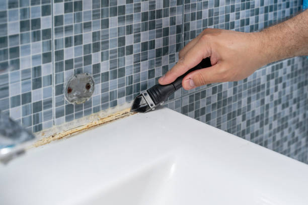 Best Emergency Mold Remediation in Bethlehem Village, CT